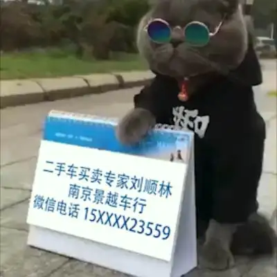 E24黑猫警长